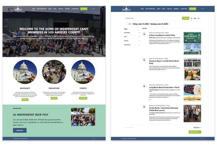Website design & programming